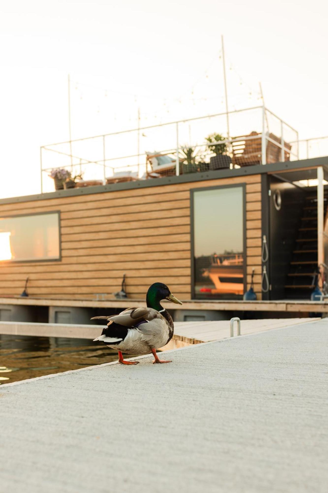 Domek Na Wodzie - Houseboat -Sauna, Taras Na Dachu, Dwie Sypialnie Mikołajki Dış mekan fotoğraf